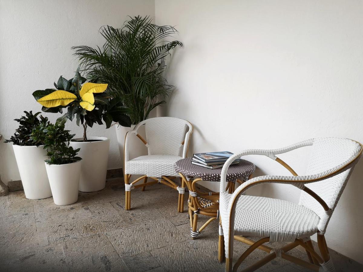 プエルトバラータ Casa Carmenヴィラ エクステリア 写真